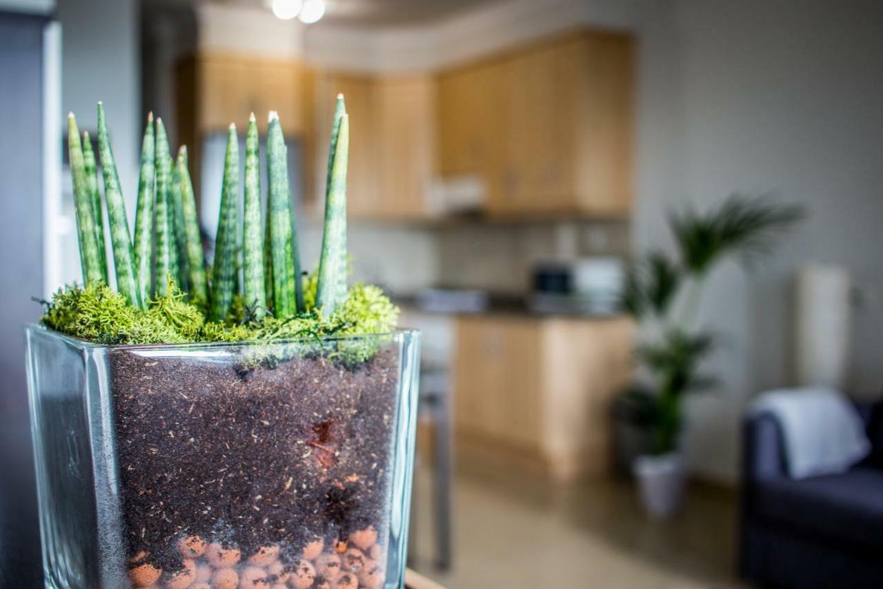 Apartament Flatguest Aquario Las Palmas de Gran Canaria Zewnętrze zdjęcie